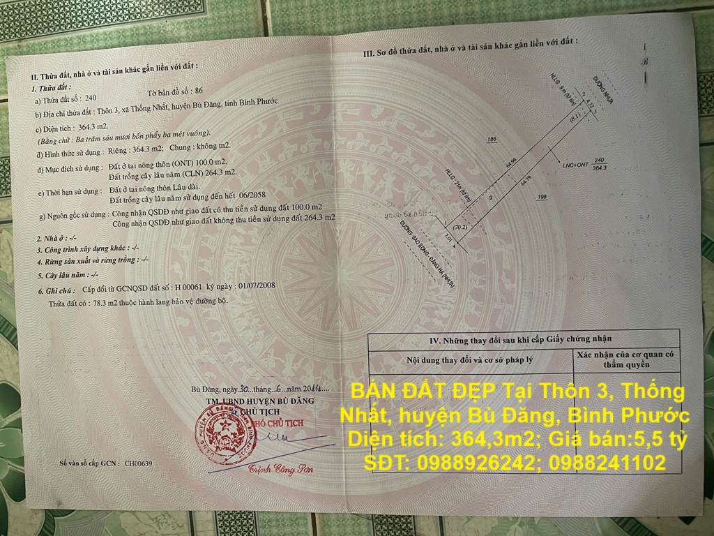 ĐẤT ĐẸP - GIÁ TỐT CHÍNH CHỦ BÁN ĐẤT ĐẸP Tại Thôn 3, Thống Nhất, huyện Bù Đăng, Bình Phước - Ảnh chính