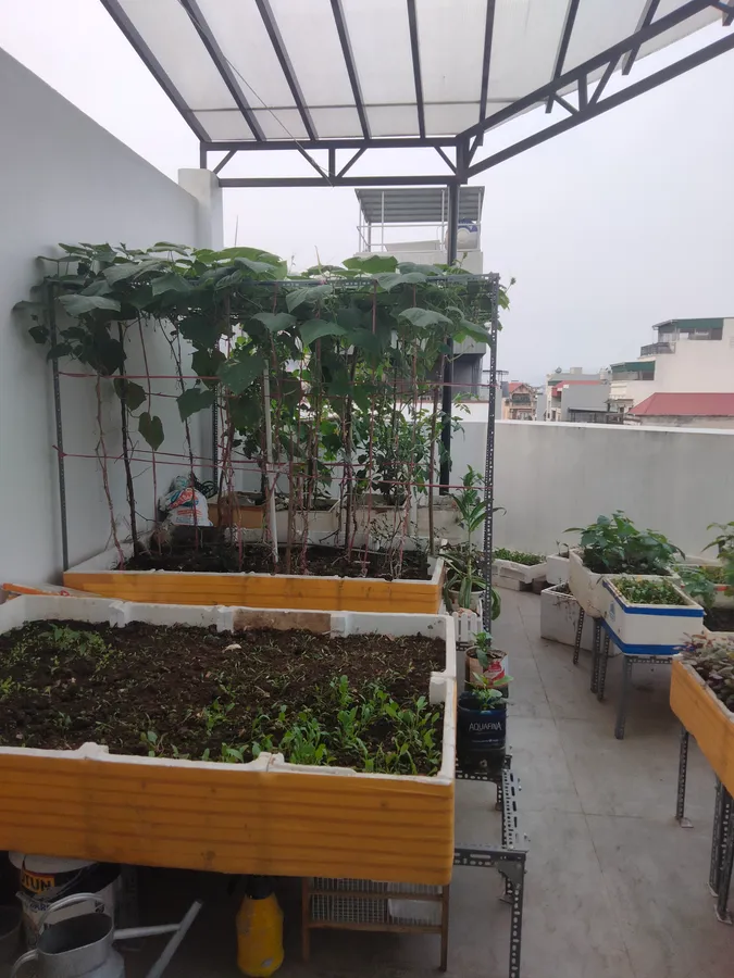 Bán gấp nhà riêng 79m2, 14,1 tỷ tại Vũ Trọng Phụng, Thanh Xuân, Hà Nội - Ảnh 1