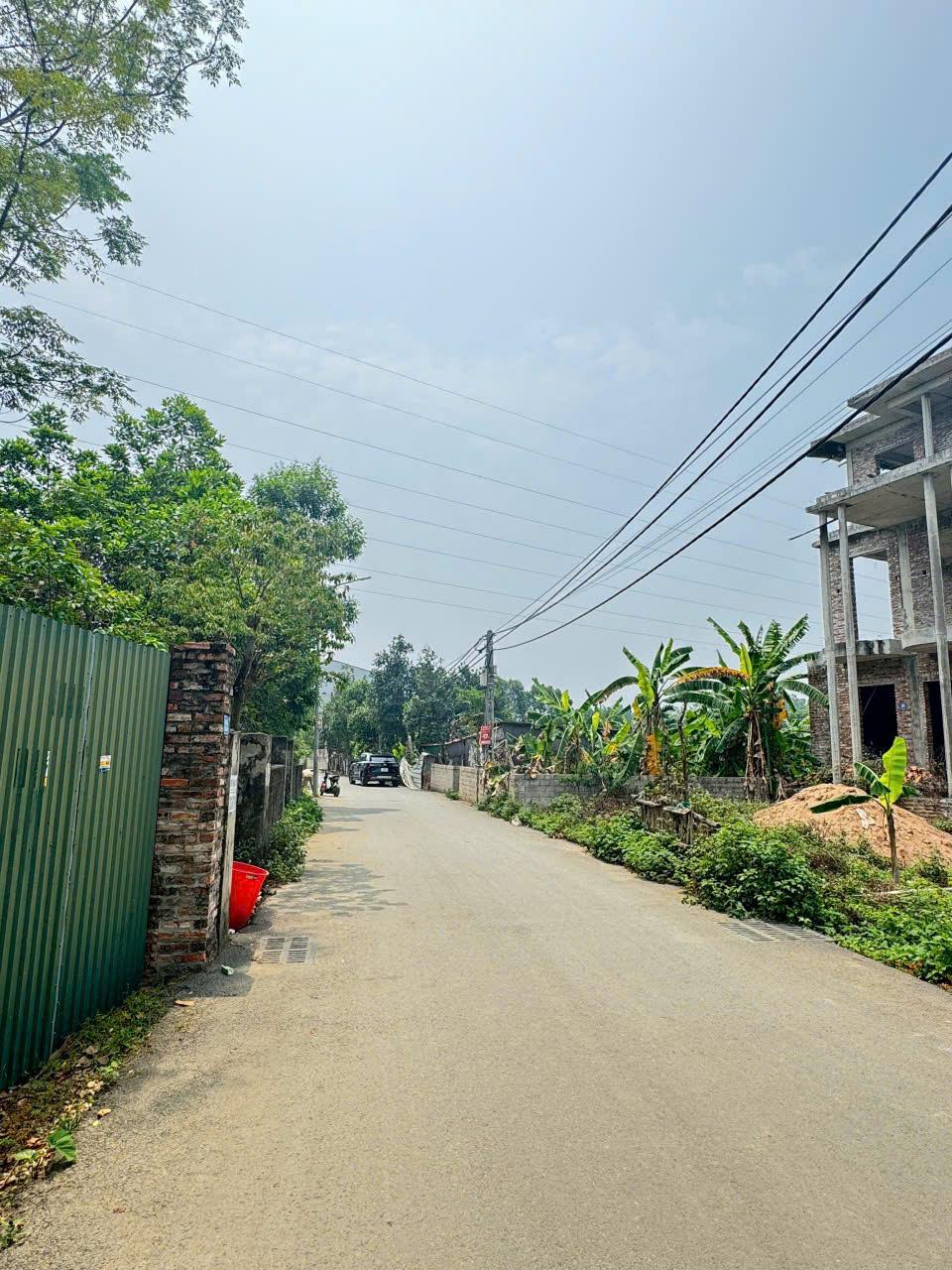 Mảnh đất Trại Hồ Cổ Đông chỉ dành cho nhà đầu tư đường thông rộng 109m nhỉnh 3ty - Ảnh 2