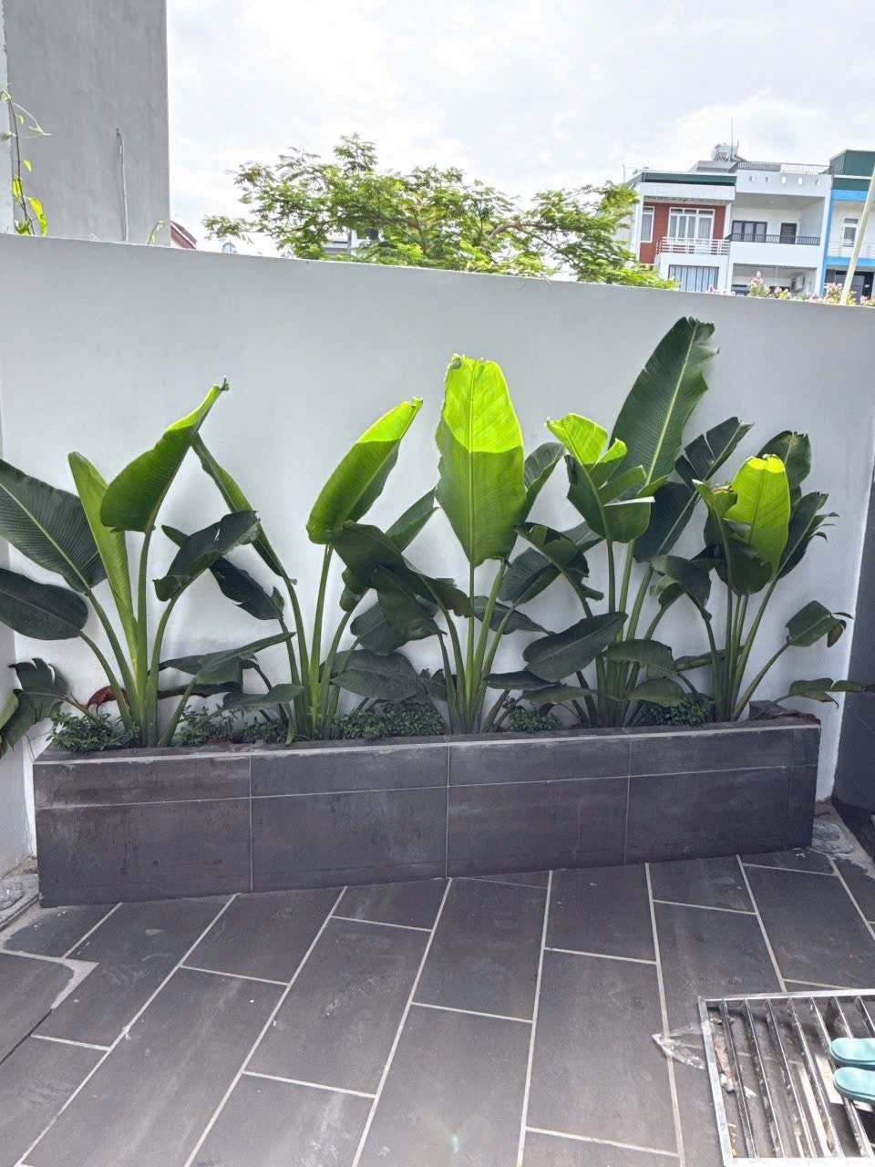 Bán nhà 3 tầng ngõ đường Nguyễn Lương Bằng, TP HD, 43.8m2, mt 7.2m, 3 ngủ, 2vs, 2.28 tỷ - Ảnh 6