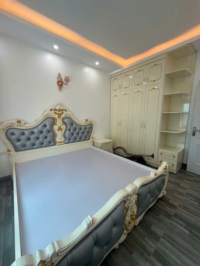 GIA NHỈNH 8 TỶ THANG MÁY NỘI THẤT TÂN CỔ ĐIỂN - Ảnh 1