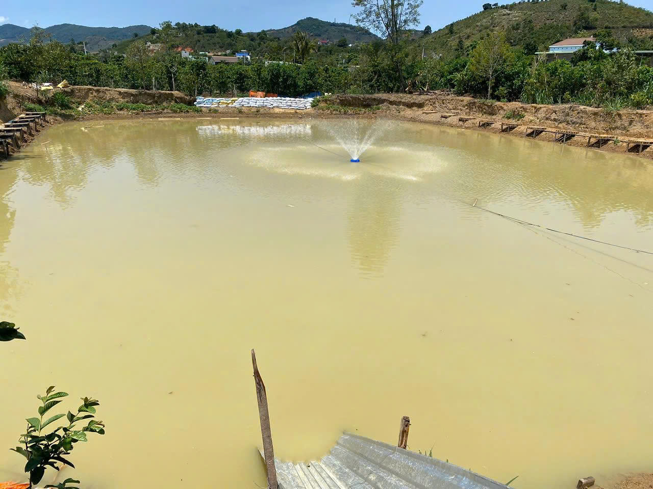 BÁN ĐẤT AO TẠI ĐINH CÔNG TRÁNG, LỘC CHÂU, BẢO LỘC, LÂM ĐỒNG - Ảnh 2
