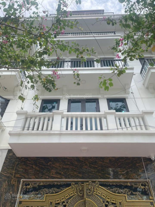 Mặt phố Nguyễn Sơn Hà 48m², phân lô, vỉa hè– Kinh doanh đỉnh – 14,5 tỷ - Ảnh chính