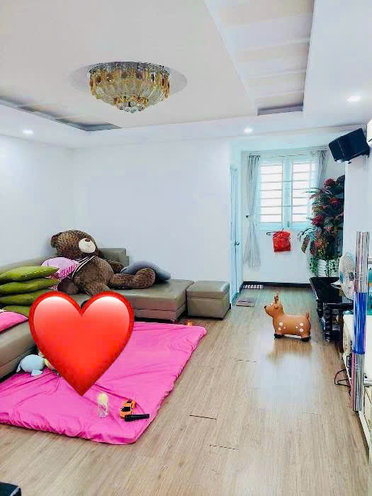 Bán nhà Nguyễn Sỹ Sách, Tân Bình, 5 tầng, ô tô vào nhà, thu nhập 30 triệu/tháng, giá 8 tỷ 8 nhỉnh - Ảnh 4