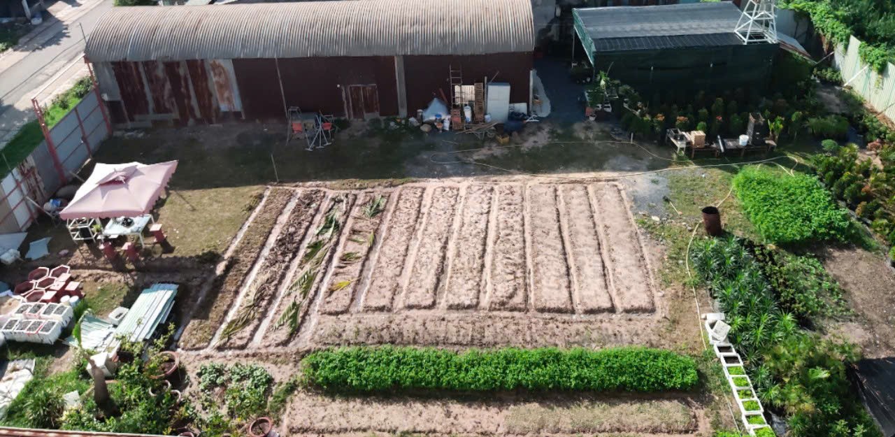 LÔ ĐẤT VỊ TRÍ ĐẸP - GIÁ TỐT Cần Bán Nhanh lô đất tại huyện Củ Chi TPHCM - Ảnh chính