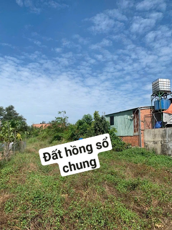 CHÍNH CHỦ CẦN BÁN ĐẤT TẠI TRẢNG BOM - Ảnh chính