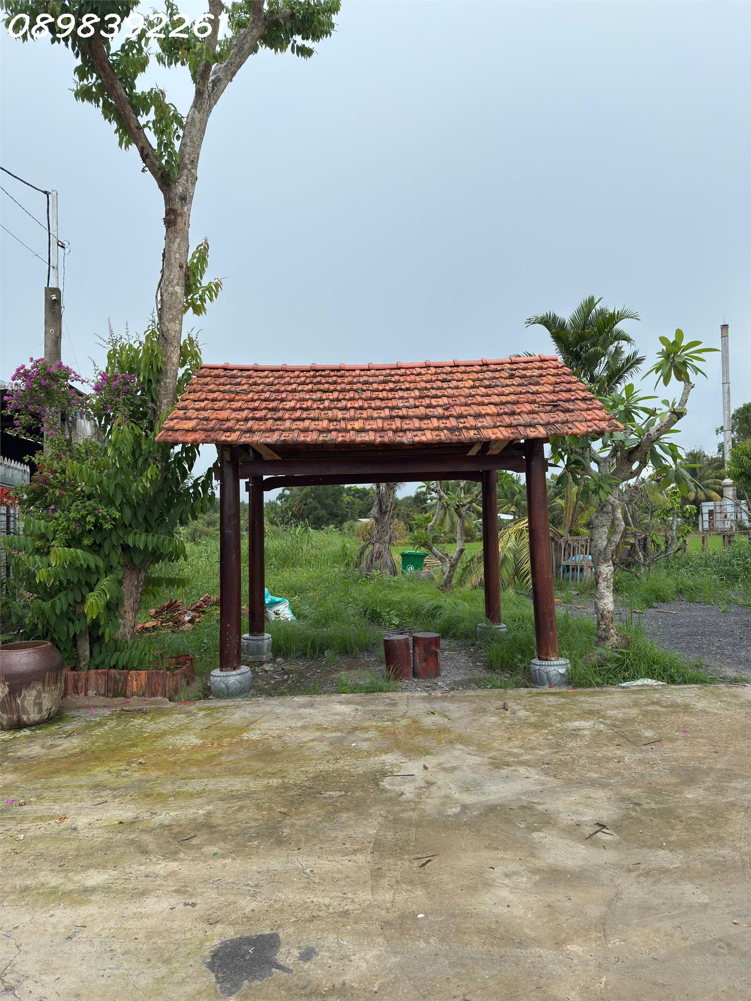 Mặt Tiền Trương Văn Diễn Đẹp, Đất Lớn – 3.830m² – Gần Cụm KCN – Giá Hợp Lý - Ảnh 2
