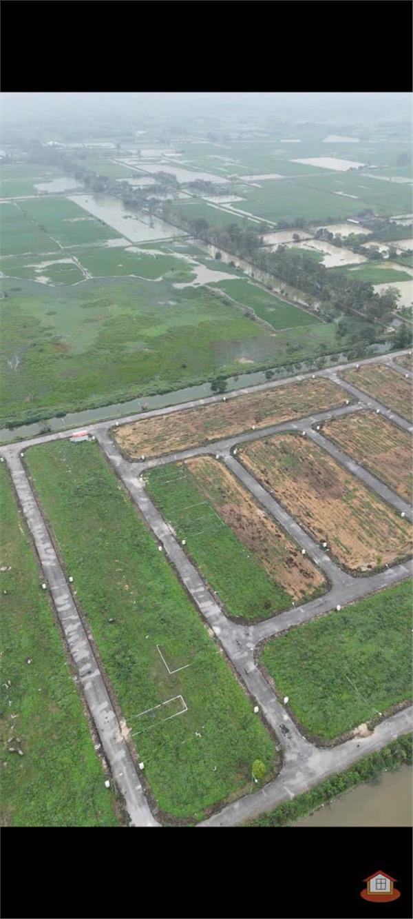 Đất Dịch Vụ Đồng Trà-Phú Nghĩa-Chương Mỹ - Ảnh 2