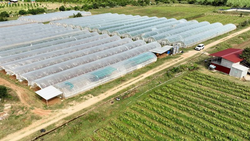 Cần Bán Đất Thôn Phú Nhuận- Xã Mỹ Sơn- Huyện Ninh Sơn- Tỉnh Ninh Thuận - Ảnh 2
