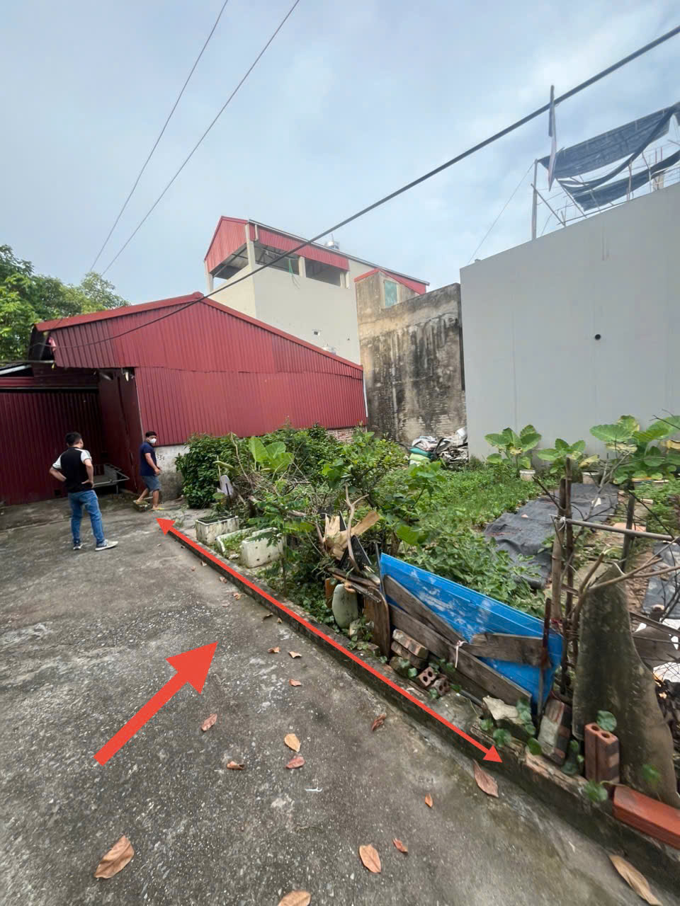 Bán đất tổ 11, Quang Minh, Mê Linh. Gần khu đất dịch vụ, mặt tiền rộng, oto đỗ - Ảnh 1