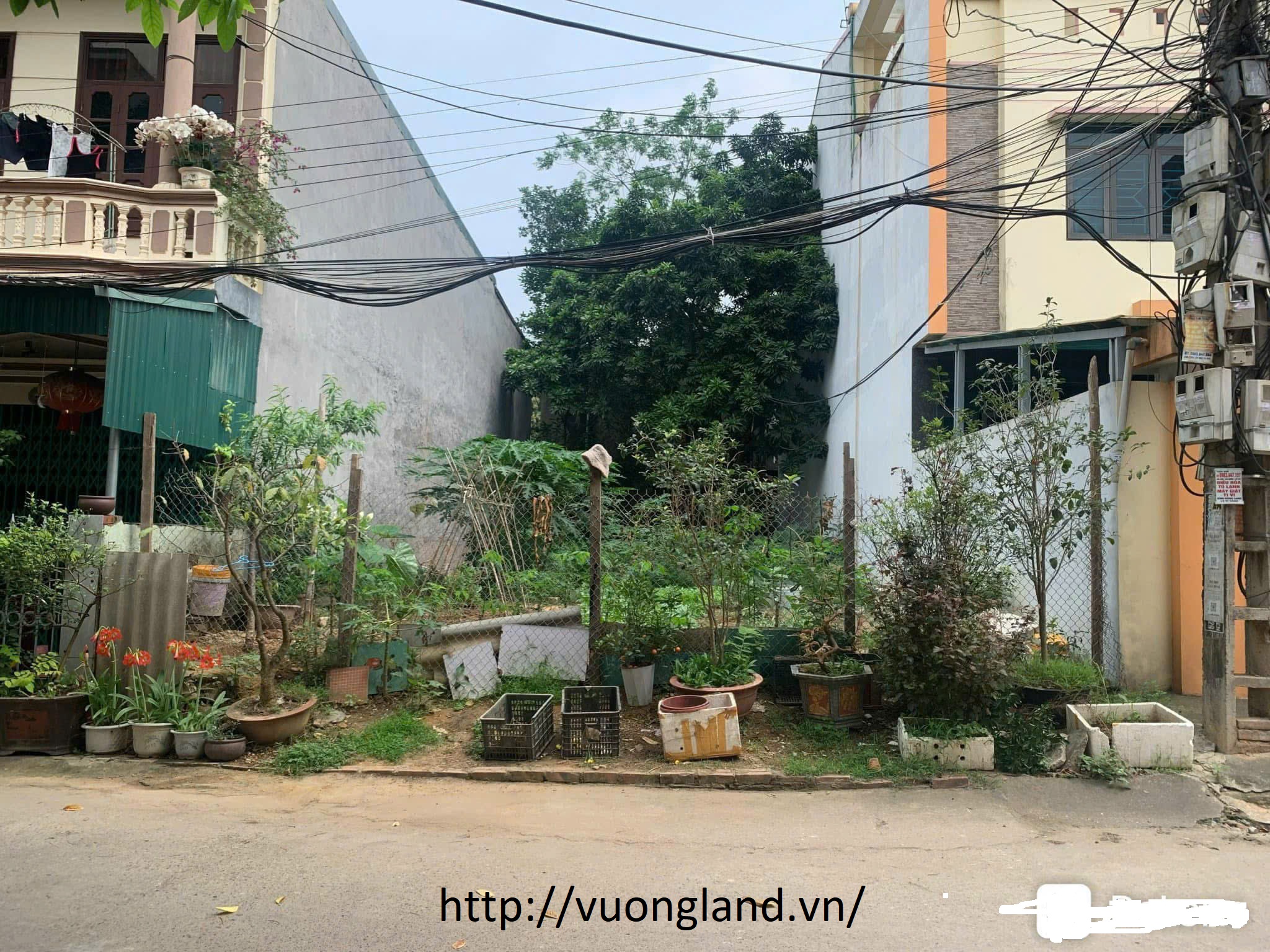 Bán đất mặt 8m2 Phố Hàn Thuyên - Ảnh 2