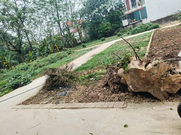CẦN BÁN MẢNH ĐẤT 56,8M - 3 MẶT TIỀN ĐƯỜNG OTO VÀO NHÀ TẠI TRUNG CHÂU _ ĐAN PHƯỢNG _ HÀ NỘI - Ảnh 1