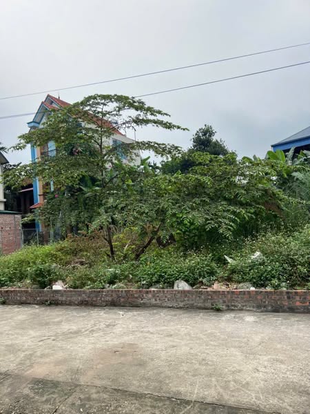 CẦN BÁN MẢNH ĐẤT 54M OTO VÀO NHÀ SÁT HỒ, TẠI THỊ TRẤN PHÚC THỌ _ HÀ NỘI - Ảnh 1