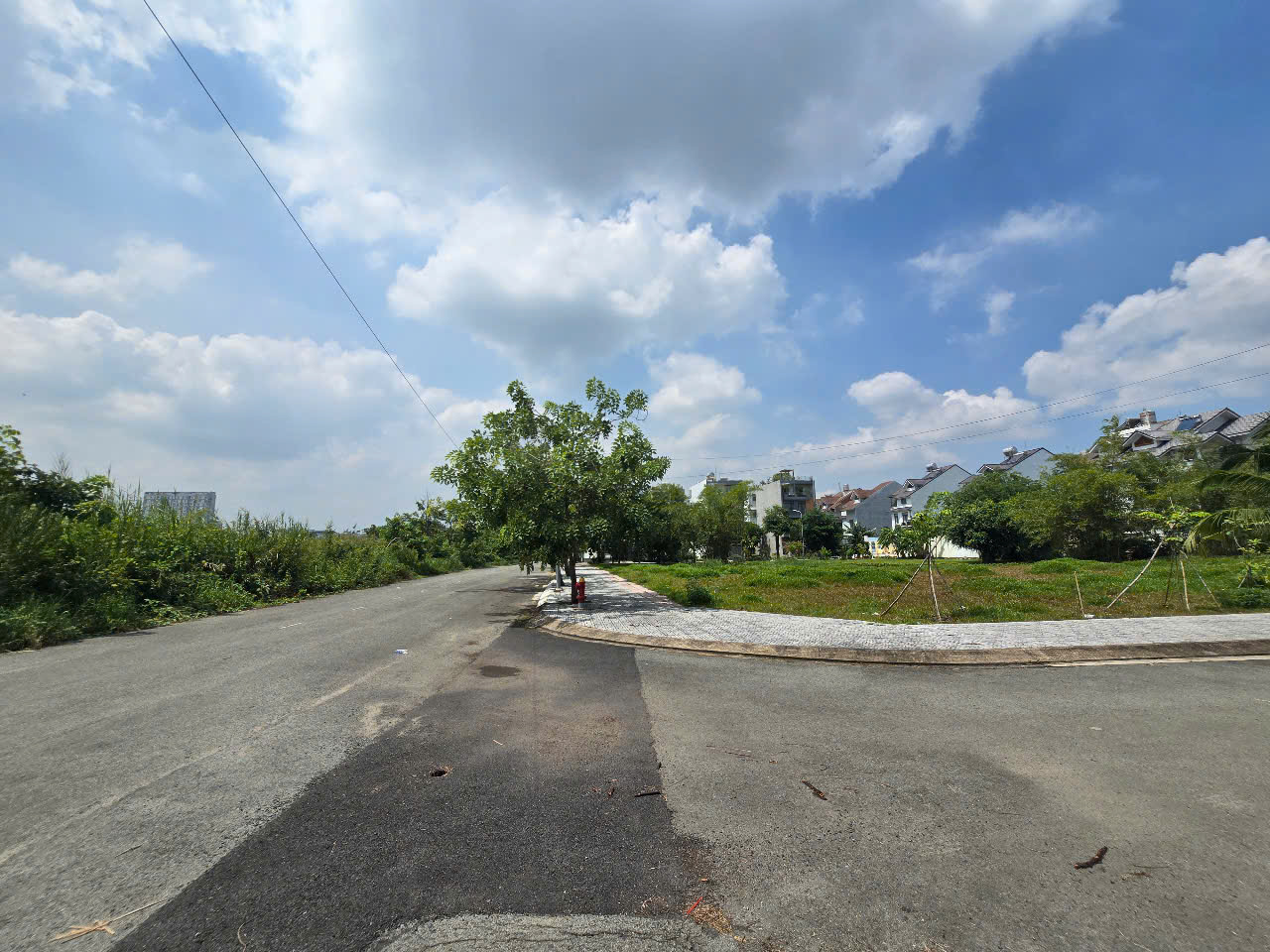 Bán đất thổ cư 2045m² đường D5, Phước Long B, Q.9, 52 tỷ, sổ đỏ - Ảnh chính