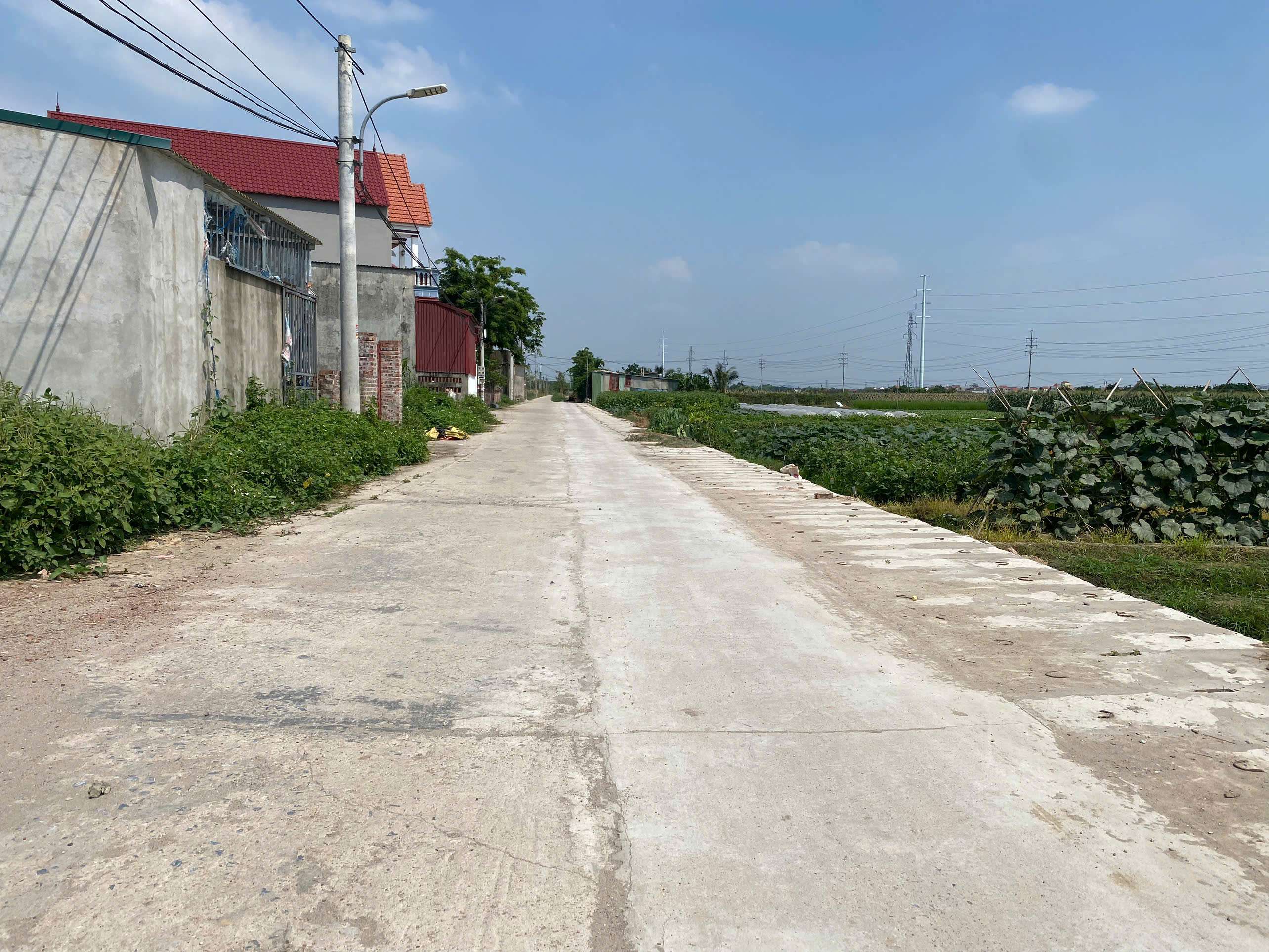 CC BÁN 67M BÌA LÀNG TT QUANG MINH,XE TẢI TRÁNH,ĐƯỜNG THÔNG,GIÁ CHO NHÀ ĐẦU TƯ - Ảnh 4