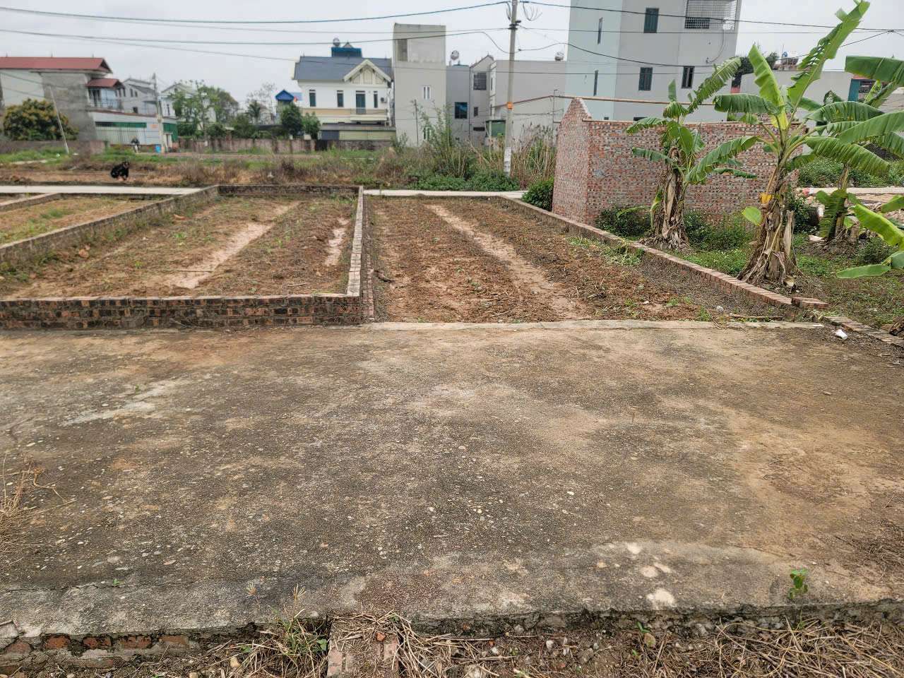 CC BÁN GẤP LÔ 2 MẶT TIỀN.58M TỔ 10 TT QUANG MINH,ĐƯỜNG RỘNG,THÔNG THOÁNG - Ảnh 1