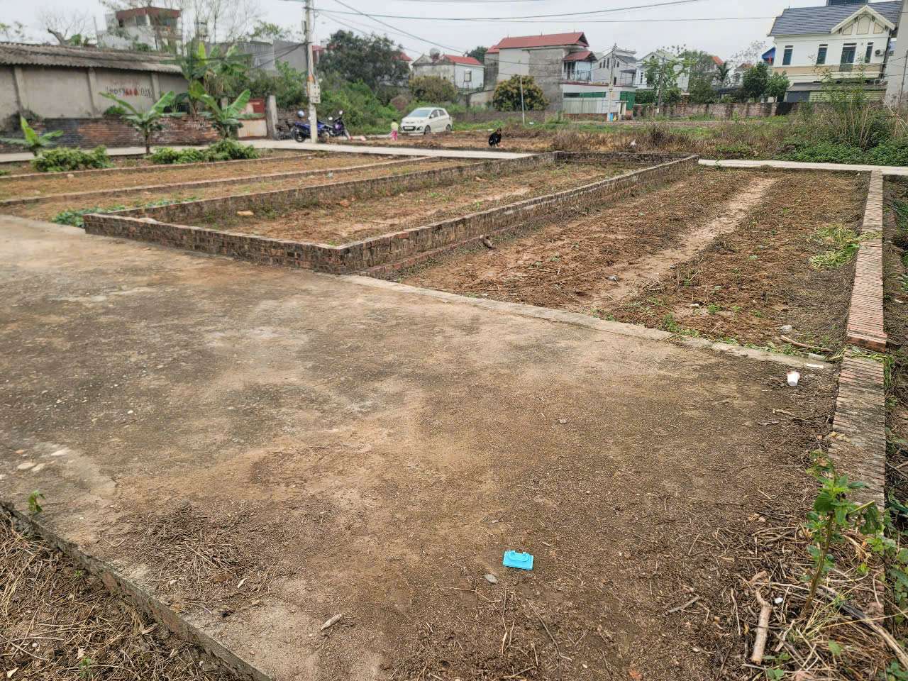 CC BÁN GẤP LÔ 2 MẶT TIỀN.58M TỔ 10 TT QUANG MINH,ĐƯỜNG RỘNG,THÔNG THOÁNG - Ảnh 2