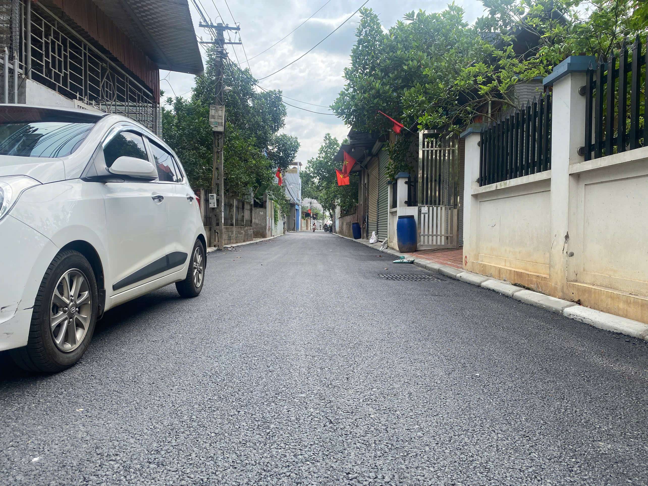 CC BÁN GẤP 100M ĐÔNG CAO TRÁNG VIỆT,TRỤC KINH DOANH,ĐƯỜNG 8M TRẢI NHỰA - Ảnh 2