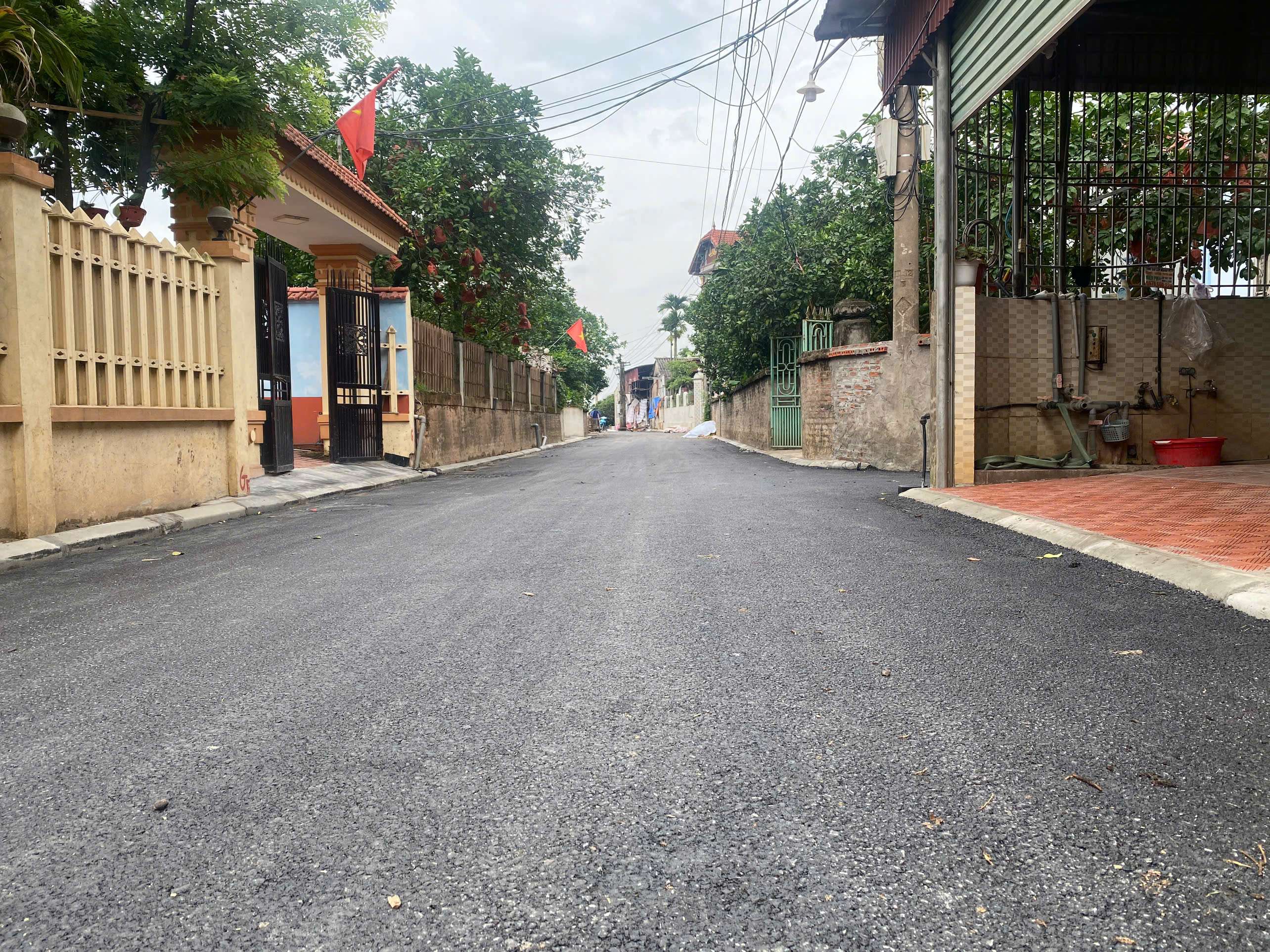 CC BÁN GẤP 100M ĐÔNG CAO TRÁNG VIỆT,TRỤC KINH DOANH,ĐƯỜNG 8M TRẢI NHỰA - Ảnh chính