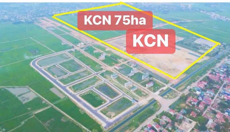 Mặt bằng xuân lai , thọ xuân thanh hoá cạnh khu công nghiệp 75ha - Ảnh 1