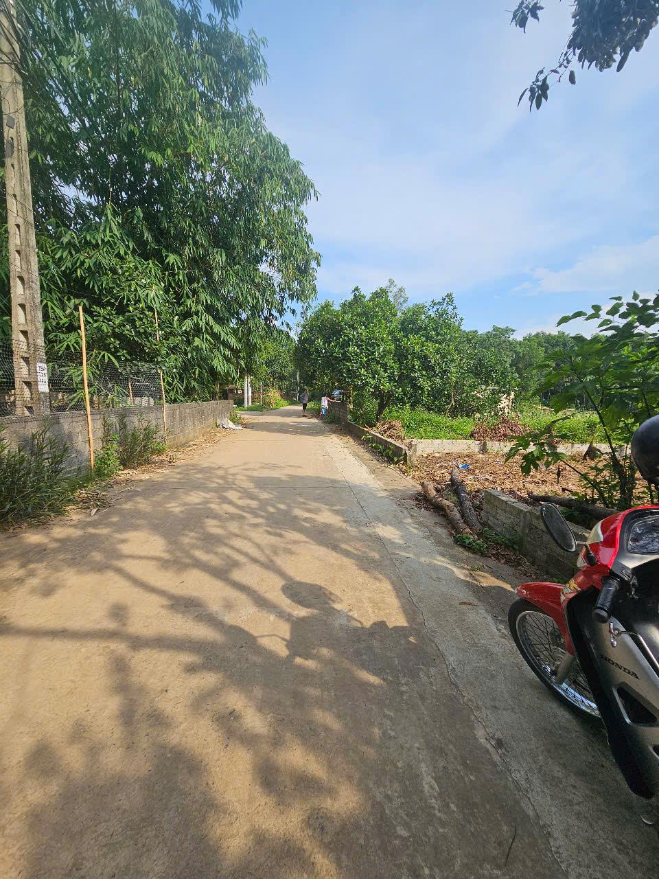 Nhỉnh 3 tỷ cần đầu tư đất trung tâm Thiên Mã, Cổ Đông 157m đường thông rộng - Ảnh 1