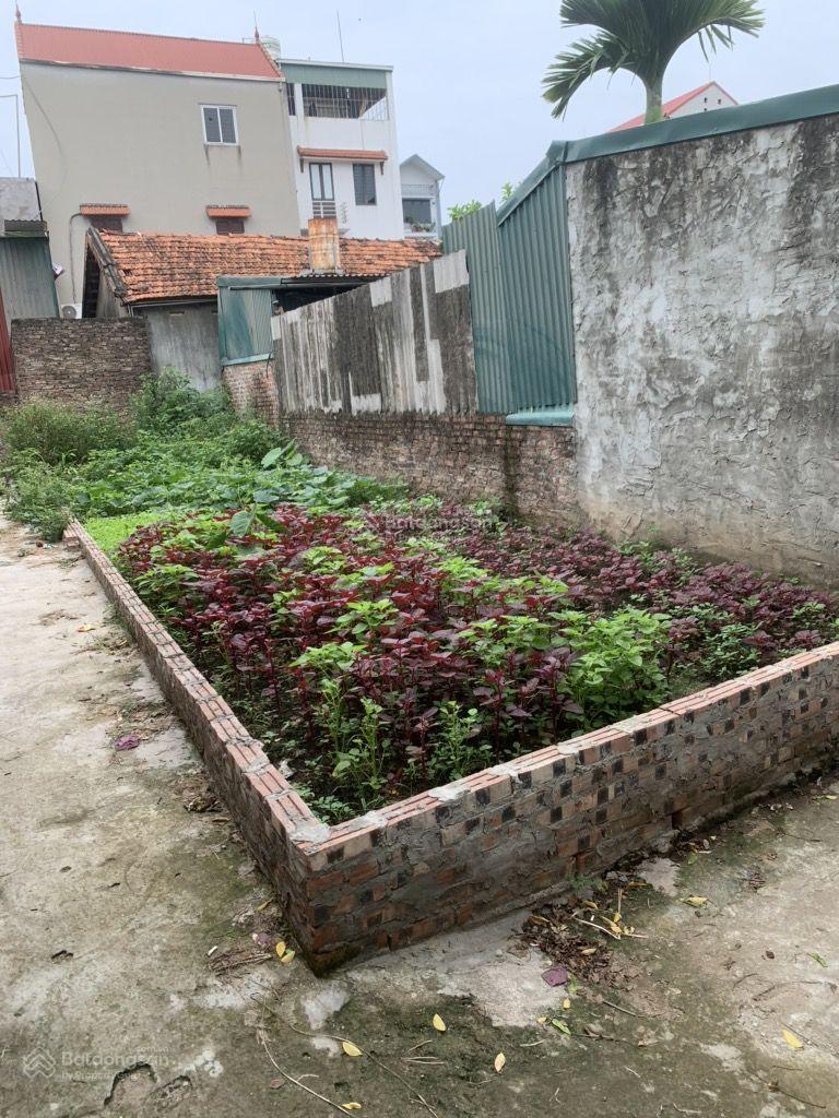 ĐẤT ĐẸP ĐỨC THƯỢNG 55m CHỈ 2,9 TỶ - NHỎ TIỀN DỄ CHỐT - HIẾM TRONG TẦM GIÁ - 15M Ô TÔ TẢI ĐỖ CỬA. - Ảnh 4