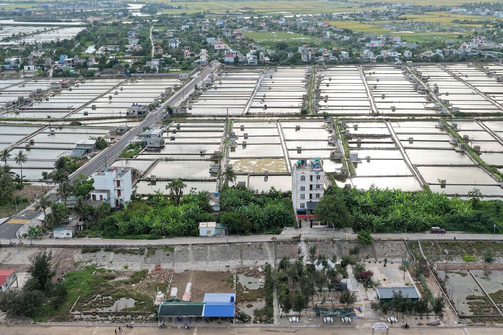 ĐẤT MẶT BIỂN ĐỒNG CHÂU - HƯNG YÊN  HÀNG HIẾM - KHÔNG CÓ LÔ THỨ 2 - Ảnh 3