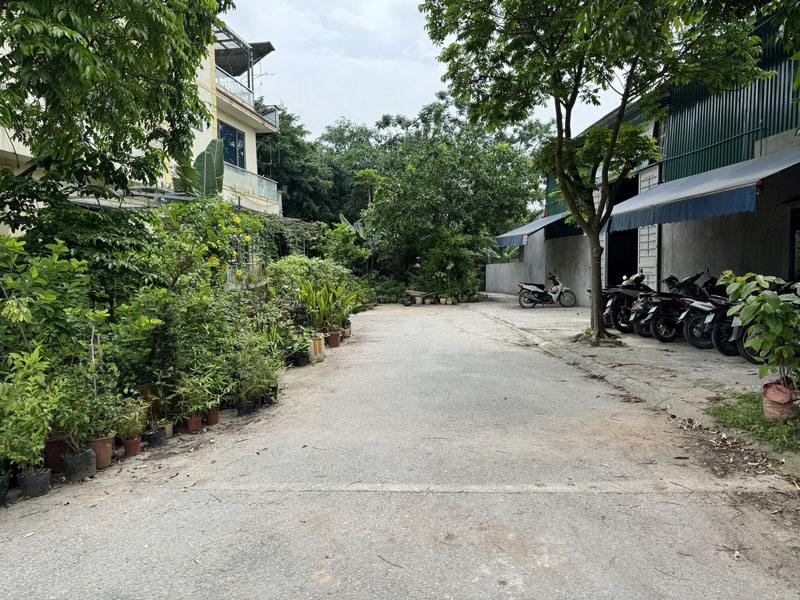 Cần bán đất Thạch Bàn 79,5m2, khu phân lô bàn cờ, tiện ích đầy đủ, tiềm năng sinh lời cao - Ảnh 2