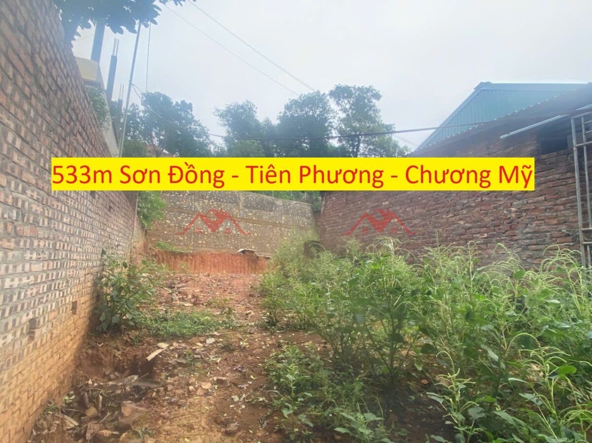 CHÍNH CHỦ BÁN LÔ ĐÁT NGHỈ DƯỠNG 533M TẠI TIÊN PHƯƠNG-CHƯƠNG MỸ-HÀ NỘI - Ảnh chính