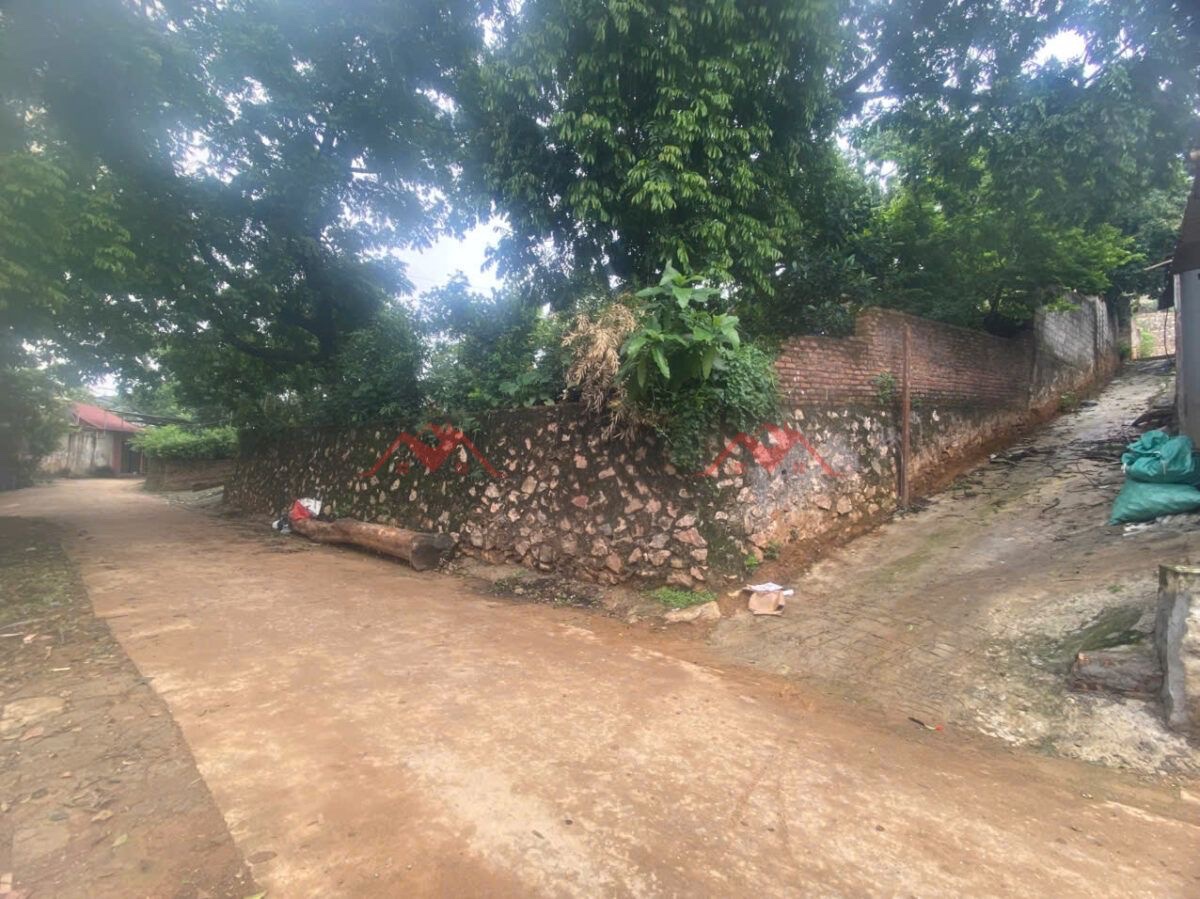 CHÍNH CHỦ BÁN LÔ ĐÁT NGHỈ DƯỠNG 533M TẠI TIÊN PHƯƠNG-CHƯƠNG MỸ-HÀ NỘI - Ảnh 2