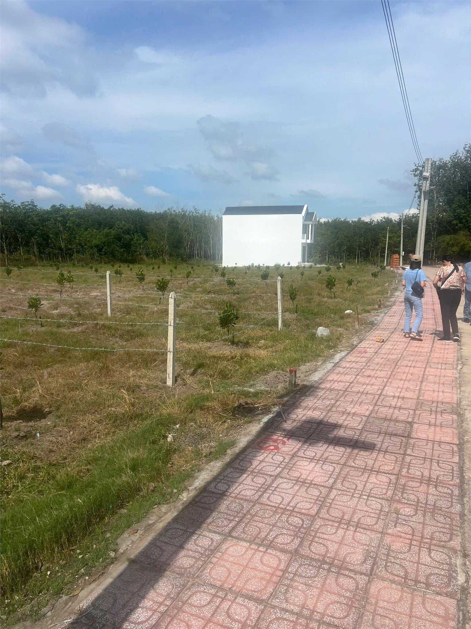 Đất nền thổ cư thuộc TP.HCM chỉ với 200 triệu, 250m2, sổ hồng sẵn - Ảnh 3