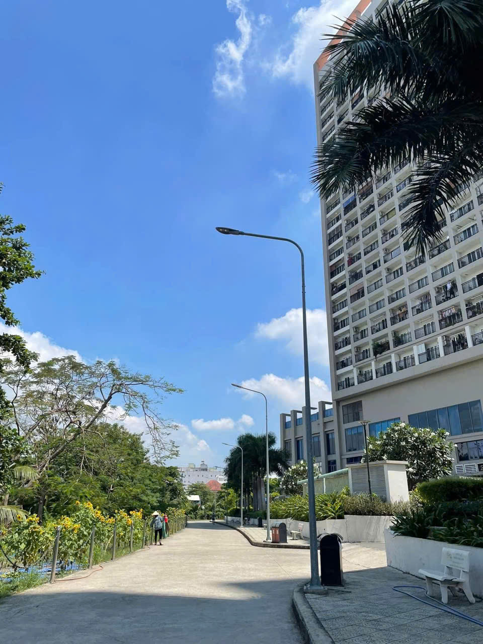 TÌM BẠN NỮ Ở GHÉP – CĂN HỘ RICHMOND CITY, P26, Q.BÌNH THẠNH - Ảnh 3