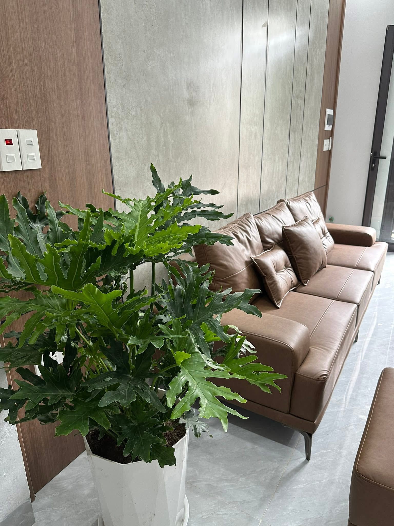 Bán nhà 3 tầng ngõ phố An Ninh, ph Quang Trung, TP HD, 42.6m2, 3 ngủ, 2 vs, 2.3x tỷ - Ảnh 1