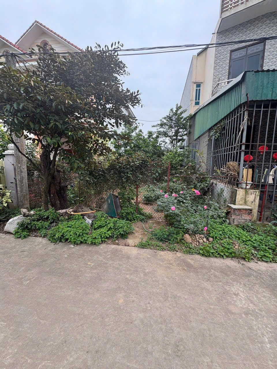 Gia đình cần bán miếng đất đấu giá khu ao sau Phùng Nguyên, Phú Thọ - Ảnh chính