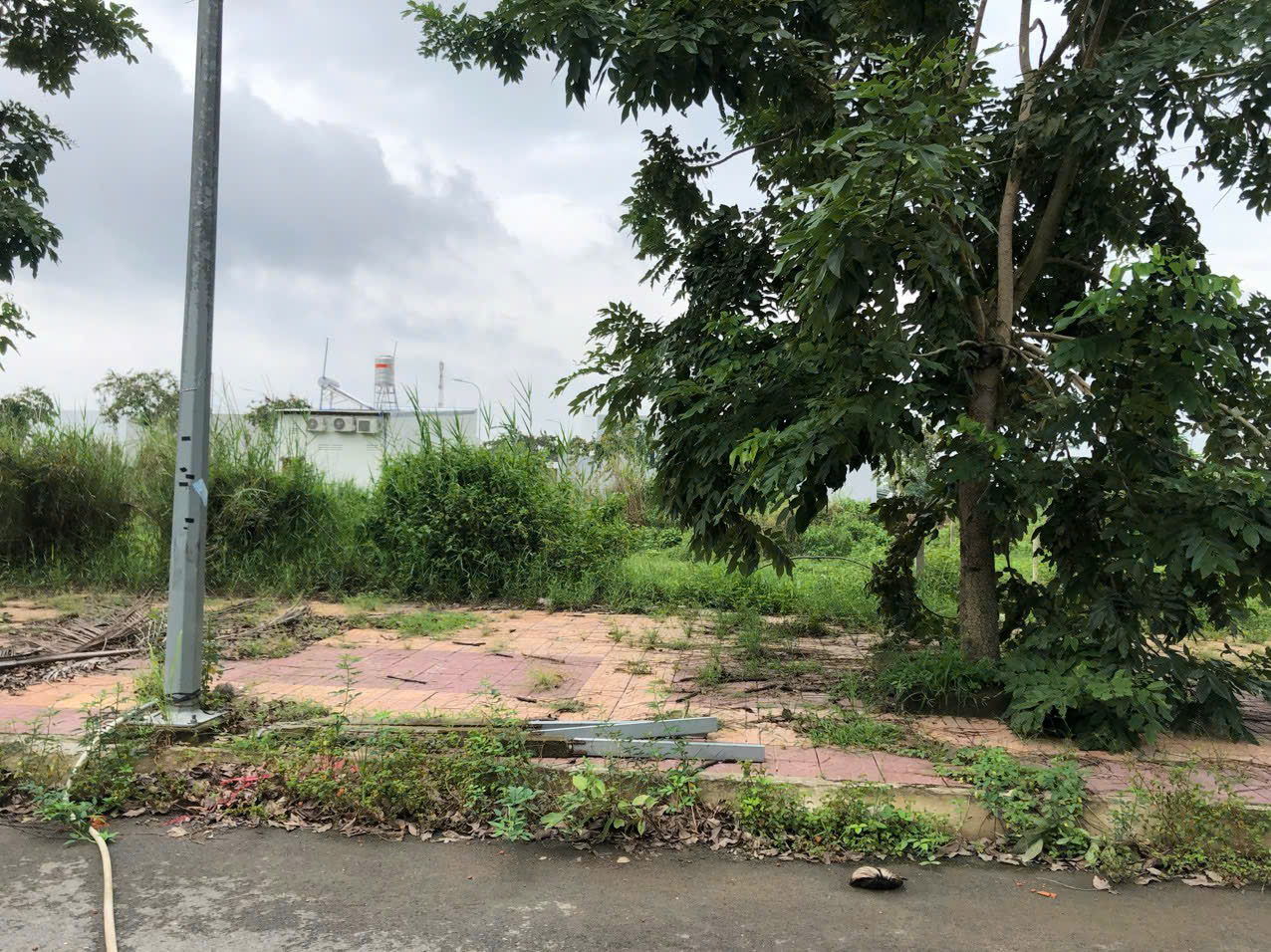 CHÍNH CHỦ Cần Bán Đất  Vị Trí Đẹp Tại khu tái định cư Phú An, Phú Thứ, Cái Răng, Cần Thơ - Ảnh 2