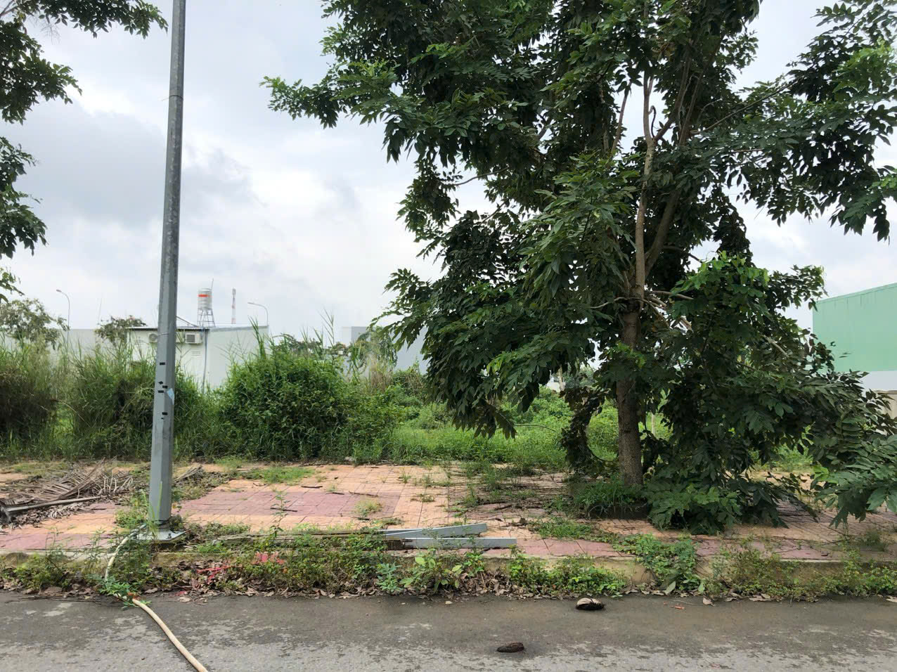 CHÍNH CHỦ Cần Bán Đất  Vị Trí Đẹp Tại khu tái định cư Phú An, Phú Thứ, Cái Răng, Cần Thơ - Ảnh 3