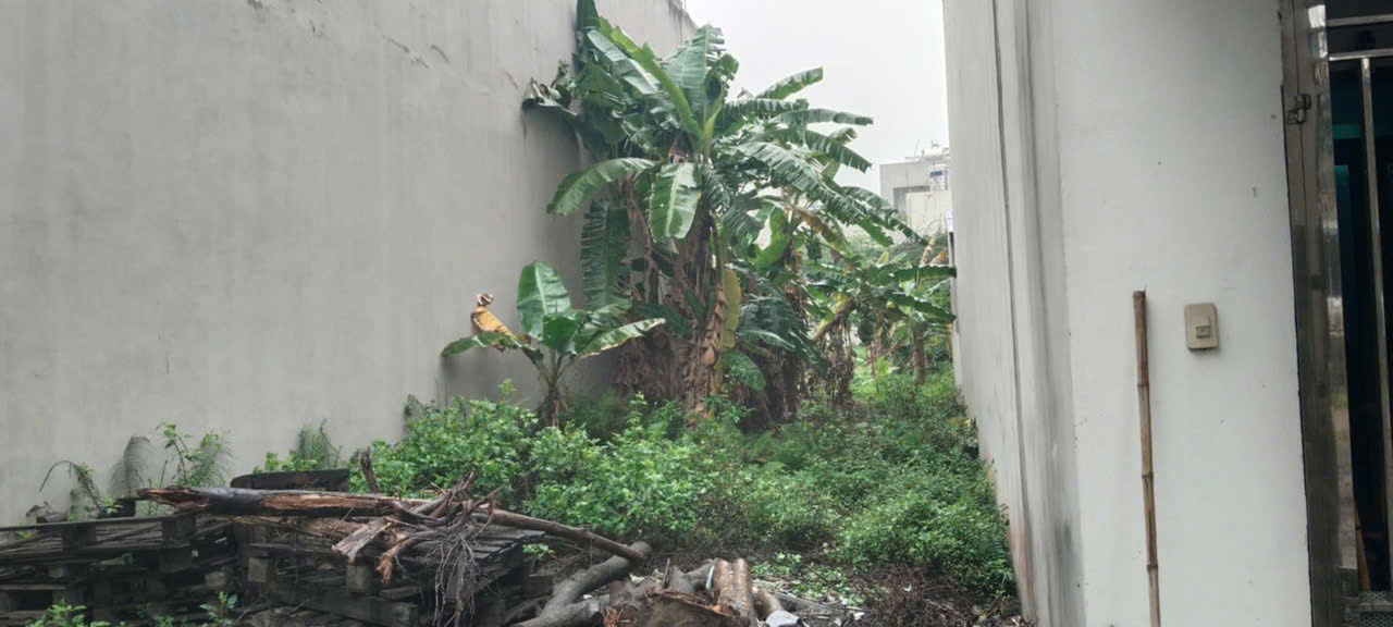 CƠ HỘI ĐẦU TƯ – CHÍNH CHỦ BÁN 2 MẢNH ĐẤT ĐẸP TẠI PHƯỜNG MỎ CHÈ, TP SÔNG CÔNG, THÁI NGUYÊN - Ảnh 2