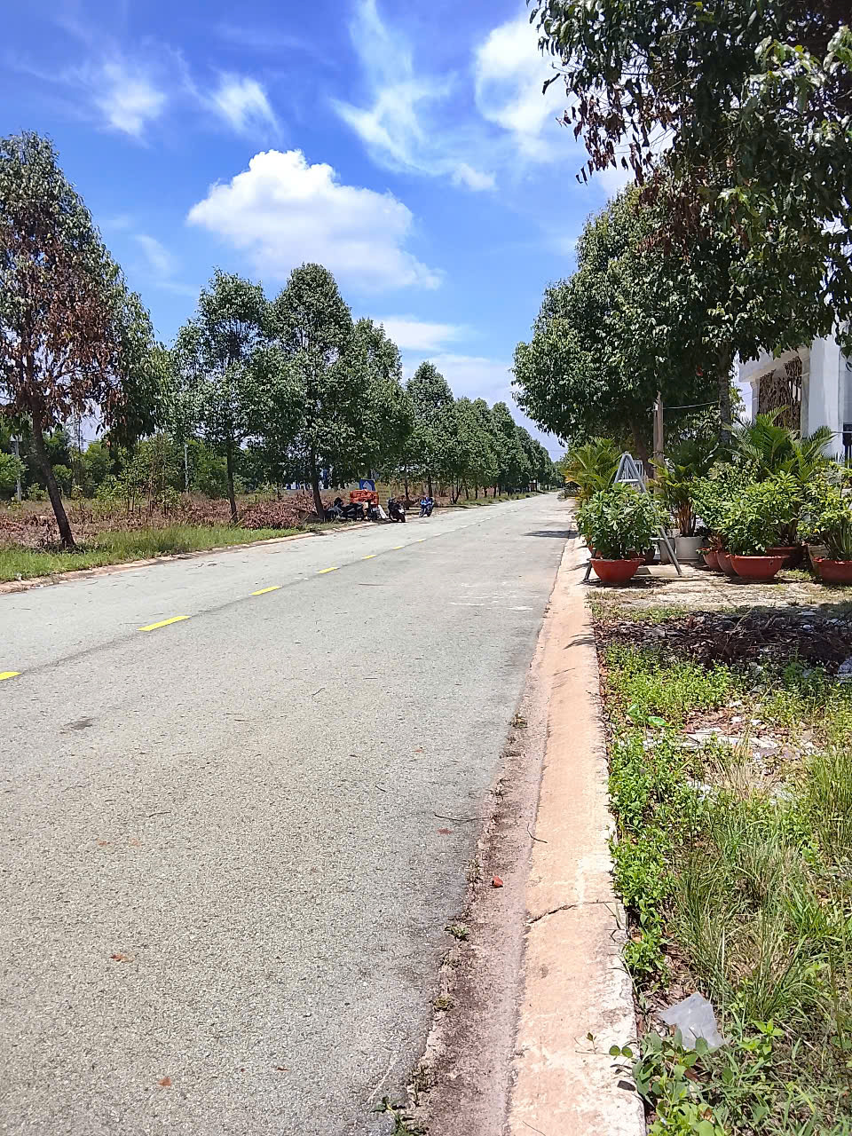 Bể nợ bán gấp lô đất thổ cư 165m2 giá 900 triệu ở trung tâm Bàu Bàng-Bình Dương - Ảnh chính