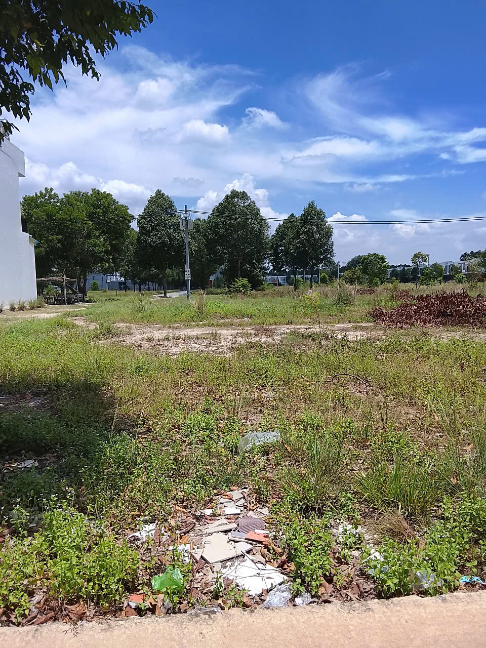 Bể nợ bán gấp lô đất thổ cư 165m2 giá 900 triệu ở trung tâm Bàu Bàng-Bình Dương - Ảnh 2