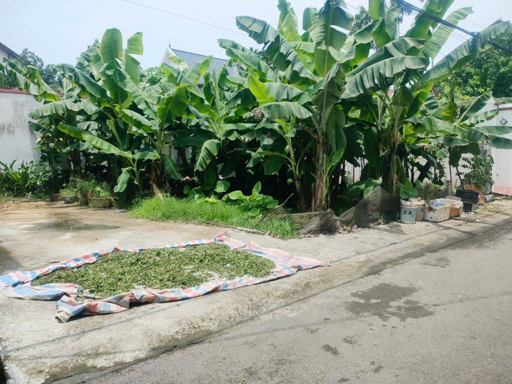 CHÍNH CHỦ, NGÕ THÔNG, GẦN Ô TÔ, KHU VỰC ĐANG PHÁT TRIỂN - Ảnh chính