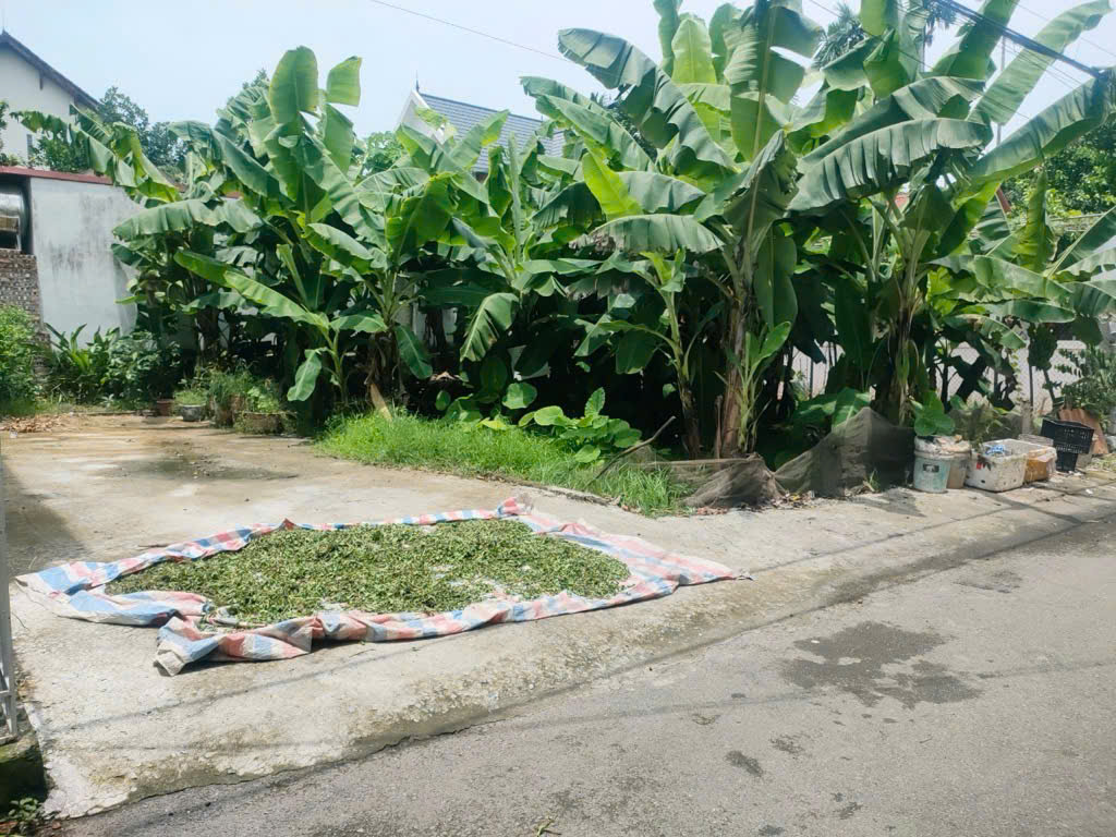 CHÍNH CHỦ, NGÕ THÔNG, GẦN Ô TÔ, KHU VỰC ĐANG PHÁT TRIỂN - Ảnh 2