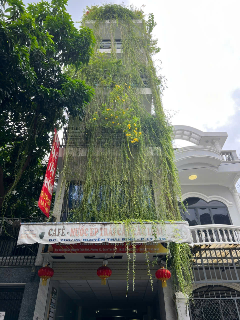 Chính chủ cho thuê văn phòng tại 260/26 Nguyễn Thái Bình, Q.Tân Bình, Tòa nhà mới xây, liên hệ - Ảnh chính
