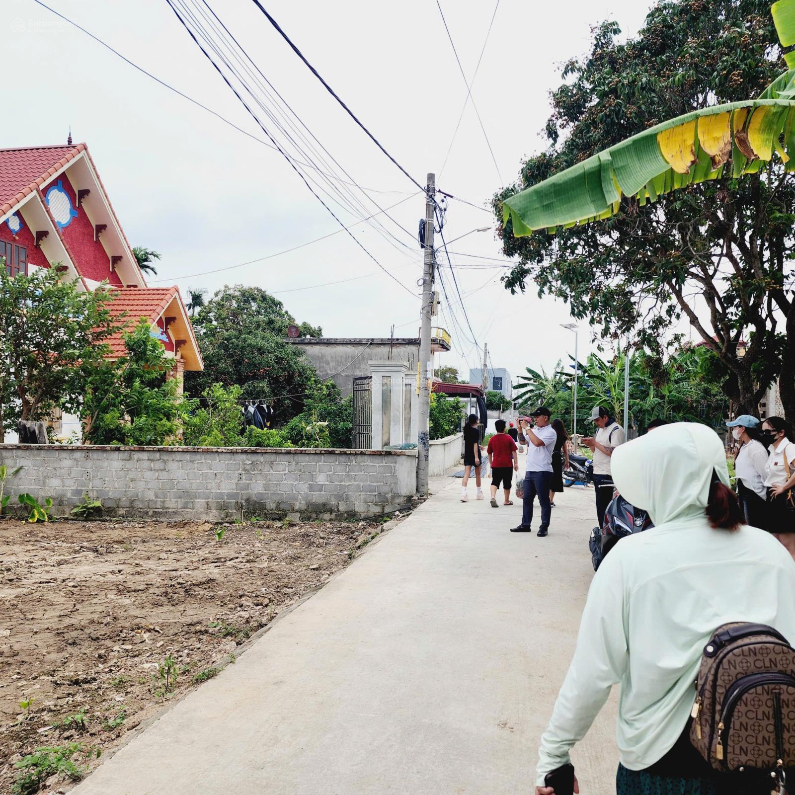 Bán đất nền gần khu công nghiệp Tràng Duệ 3 - Bát Trang- An Lão- Hải Phòng - Ảnh 4