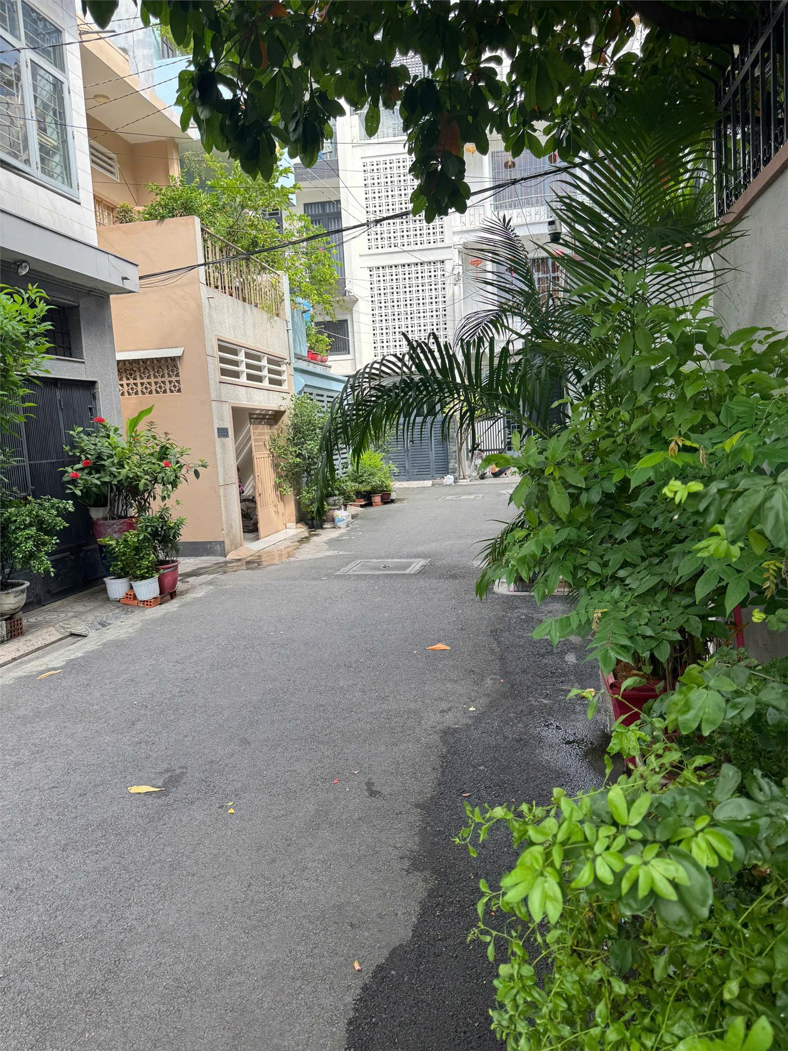 **Bán nhà HXT Lê Văn Sỹ** phường 1, Tân Bình (4*22) ngay công viên - Ảnh 1