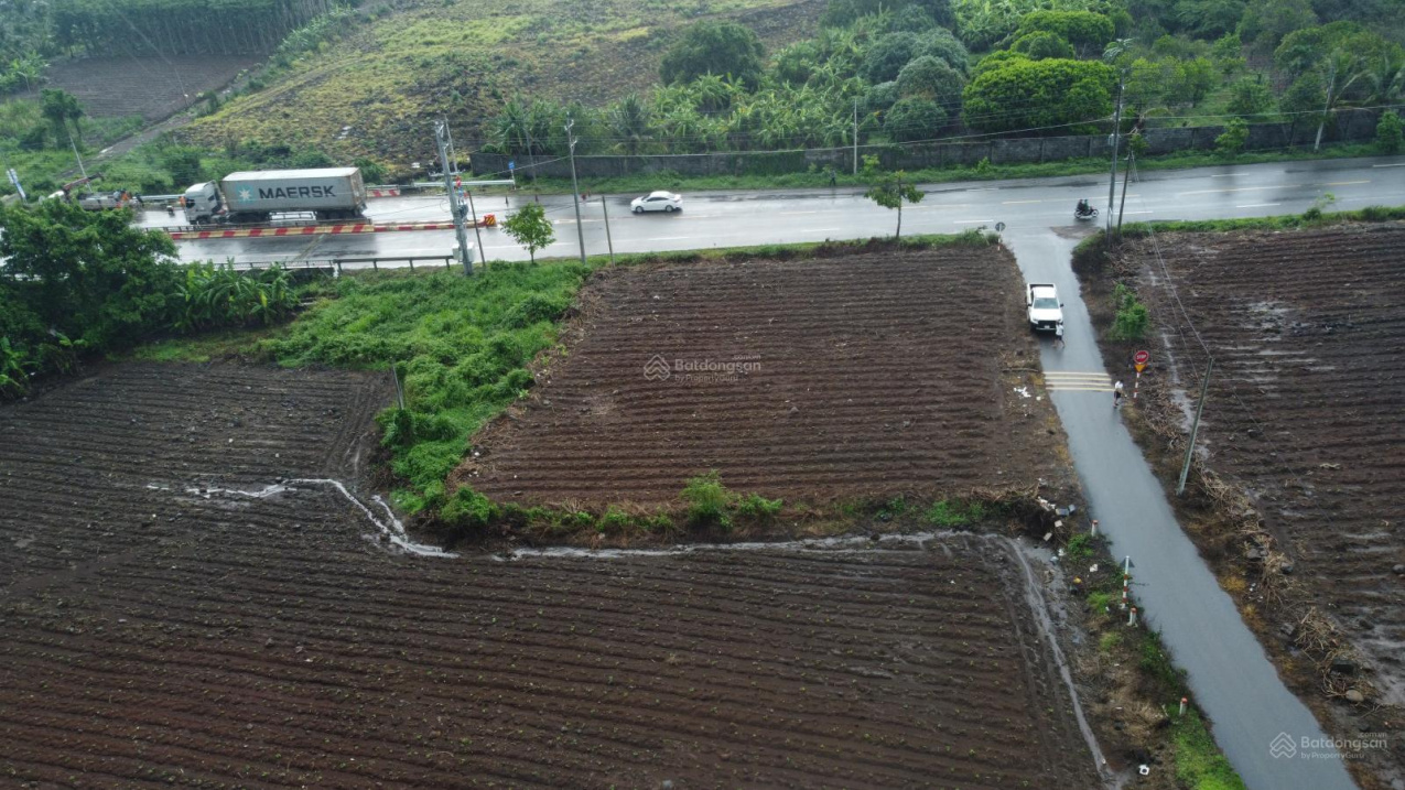 🔥 ĐẤT NGÂN HÀNG – 2 MẶT TIỀN ĐƯỜNG SỐ 1 – GẦN 2 KCN LỚN – 941M² CHỈ 5.6 TỶ – CƠ HỘI F0 SINH LỜI - Ảnh 2
