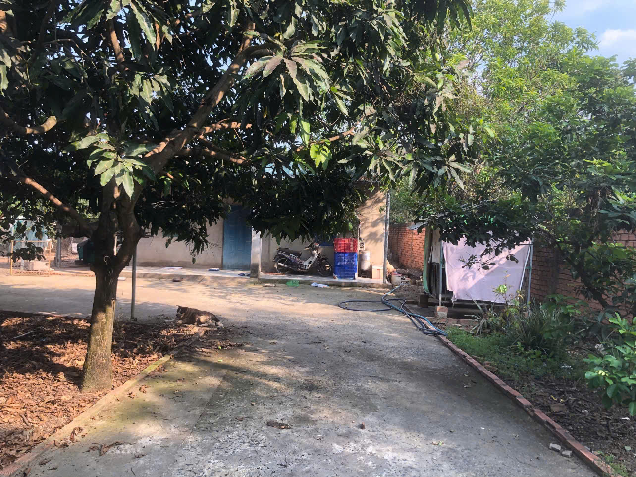 CHÍNH CHỦ CẦN BÁN ĐẤT VƯỜN 2 MẶT TIỀN ĐẸP – ĐƯỜNG XÓM HUẾ, TRỊ AN, VĨNH CỬU, ĐỒNG NAI. - Ảnh chính