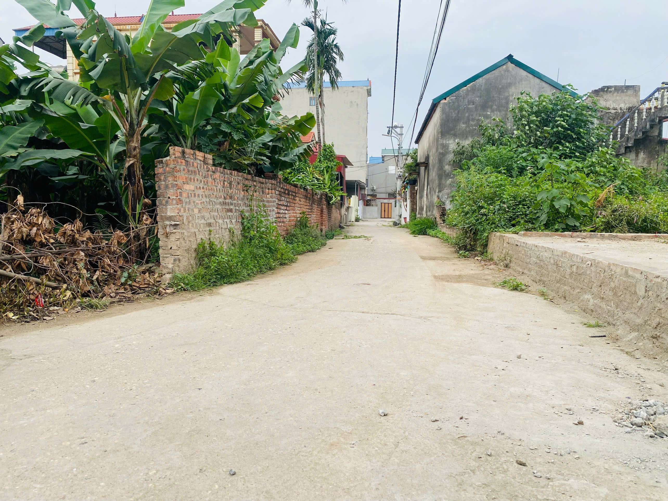 EM QUANG CHÍNH CHỦ BÁN 100M TT QUANG MINH,FULL TC,MT 4,3M Ô TÔ VÀO,NGÕ THÔNG TỨ PHÍA - Ảnh chính