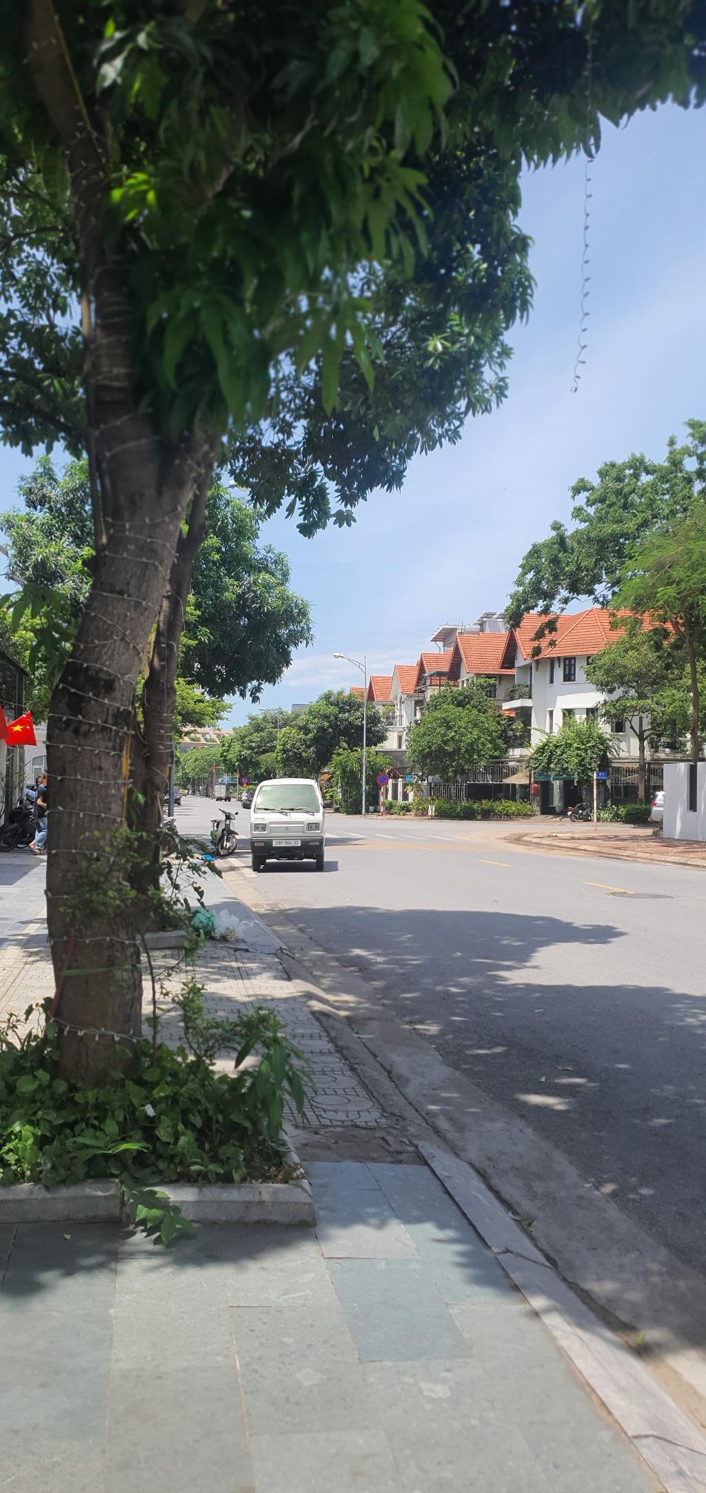 NHÀ VƯỜN VIỆT HƯNG 38 tỷ 120m VỈA HÈ RỘNG,KINH DOANH ĐỈNH,LONG BIÊN HÀ NỘI - Ảnh 3