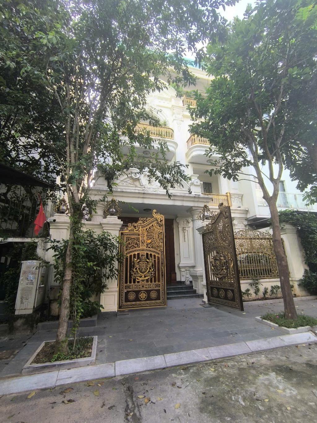 VIỆT HƯNG 56 tỷ 190m VỈA HÈ RỘNG,KINH DOANH ĐỈNH,LONG BIÊN HÀ NỘI - Ảnh chính
