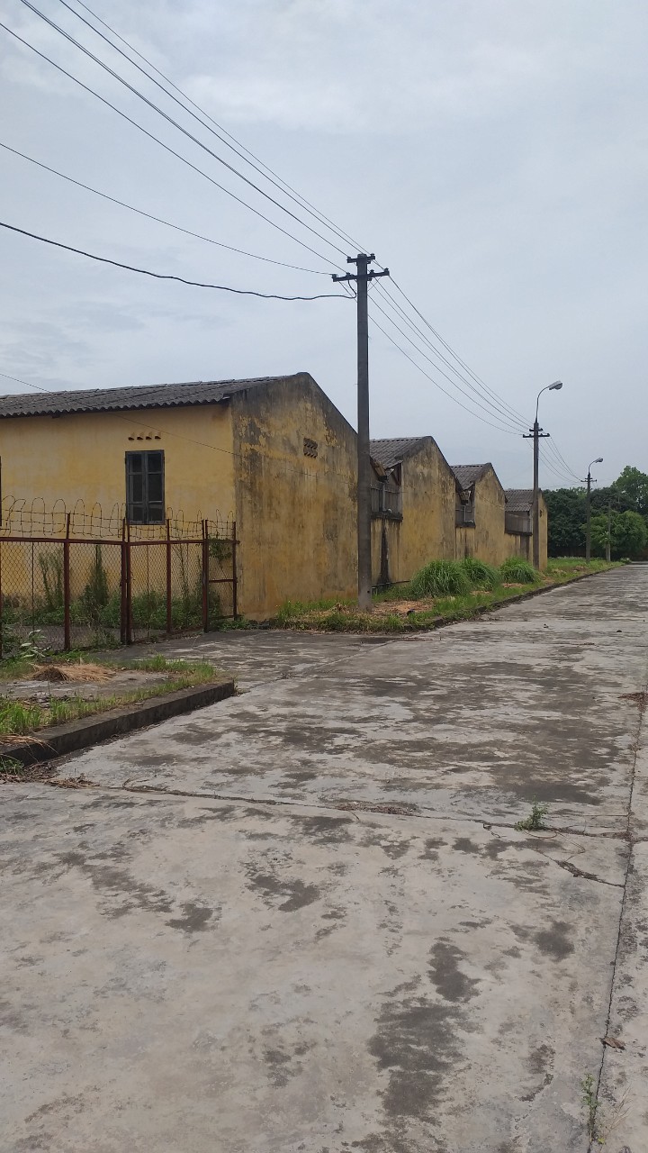 Bán 2ha đất KCN Đồng Văn, Duy Tiên, Hà Nam. Lô 2 mặt đường - Ảnh chính